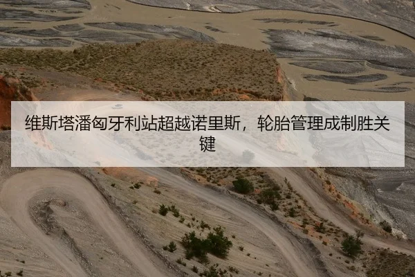 维斯塔潘匈牙利站超越诺里斯，轮胎管理成制胜关键