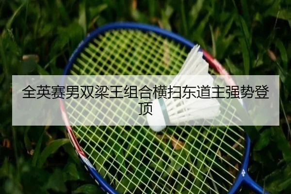 quan-ying-sai-nan-shuang-liang-wang-zu-he-heng-sao-dong-dao-zhu-qiang-shi-deng-ding-3-846.jpg