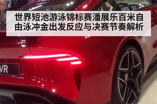 世界短池游泳锦标赛潘展乐百米自由泳冲金出发反应与决赛节奏解析