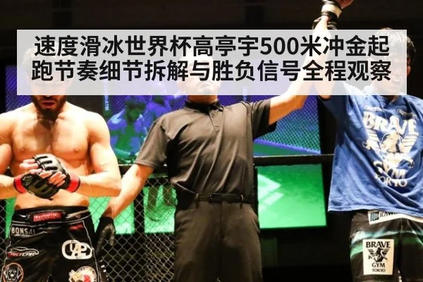 速度滑冰世界杯高亭宇500米冲金起跑节奏细节拆解与胜负信号全程观察